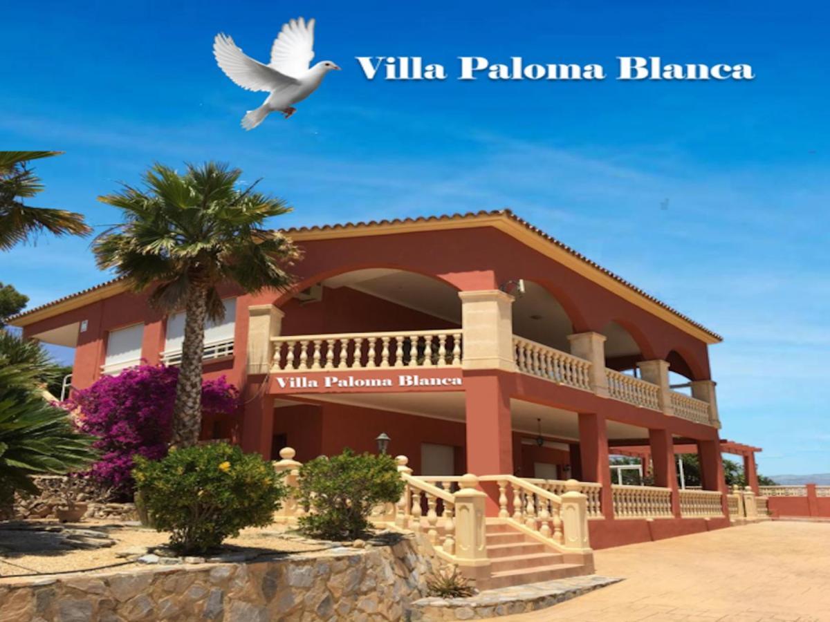 Villa Paloma Blanca El Albir Exteriör bild