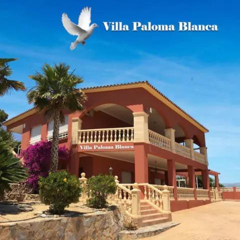 Villa Paloma Blanca El Albir Exteriör bild